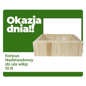 Okazja dnia Korpus Wielkopolski półnadstawkowy 10R 4 szt.
